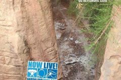 Gardaland-Tribe-Escursione-ai-canyon-Demolizione-Canyon-002_risultato