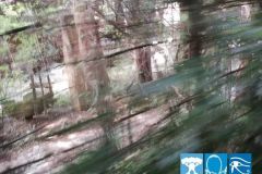 Gardaland-Tribe-Escursione-ai-canyon-Demolizione-Canyon-004_risultato