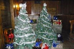 I corsari - Magic winter - 2008