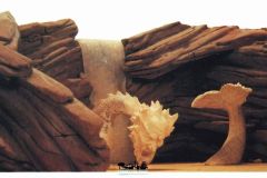 I corsari - Plastico