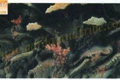 I corsari - Plastico