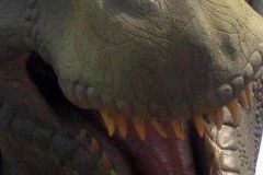 L'isola dei dinosauri