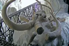 Mammut - Backstage Spot Tv