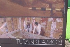 Tracce Civiltà Aliene - 2009