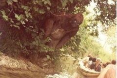 Safari Africano