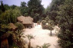 Safari Africano