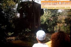 Safari Africano