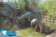 Safari Africano