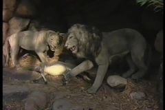 Safari Africano