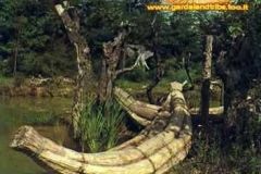 Safari Africano