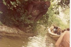 Safari Africano