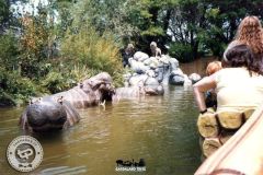 Safari Africano