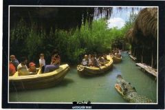 Safari Africano - Cartoline