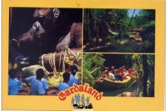 Safari Africano - Cartoline