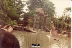 Safari Africano - Prime Imbarcazioni