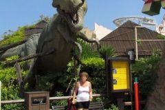 The spectacular 4d adventure - 2013