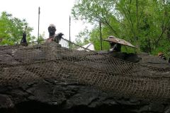 Tunga - 2007