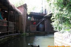 Tunga - 2008