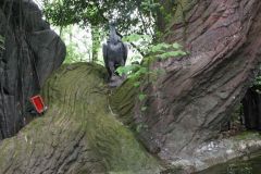 Tunga - 2008