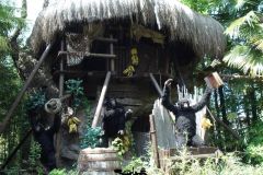 Tunga - 2008