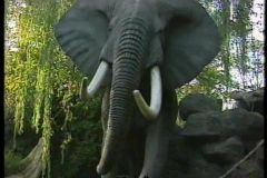 Tunga - 2008