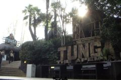 Tunga - 2008