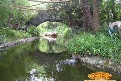 Tunga - 2009