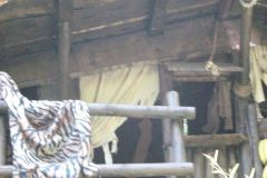 Tunga - 2009