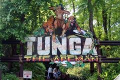 Tunga - 2009