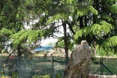 Demolizione Tunga