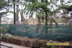 Demolizione Tunga