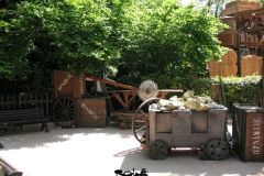 Canyons Creek - 2009