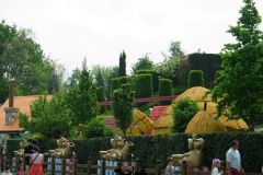 Doremi farm - 2005
