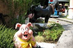 Doremi farm - 2007