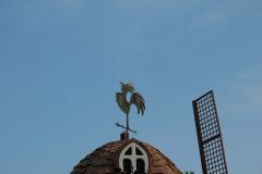 Doremi farm - 2007