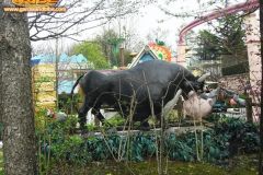 Doremi farm - 2009