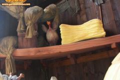 Doremi farm - 2009