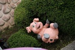 Doremi farm - 2011