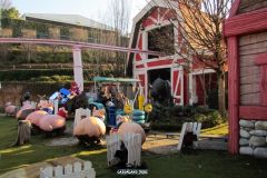 Doremi farm - 2015