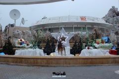 Flying Island - Magic Winter - 2015