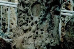 Flying Island - Realizzazione Scenografia