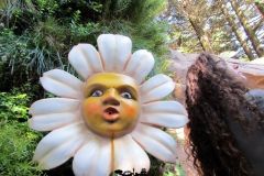 La foresta incantata - 2019