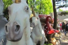 La foresta incantata - 2019