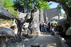 La foresta incantata - 2019
