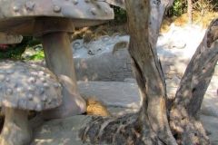 La foresta incantata - 2019