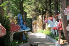 La foresta incantata - 2019
