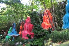 La foresta incantata - 2019