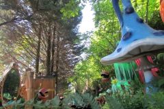 La foresta incantata - 2019