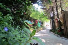 La foresta incantata - 2019