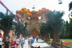 2003